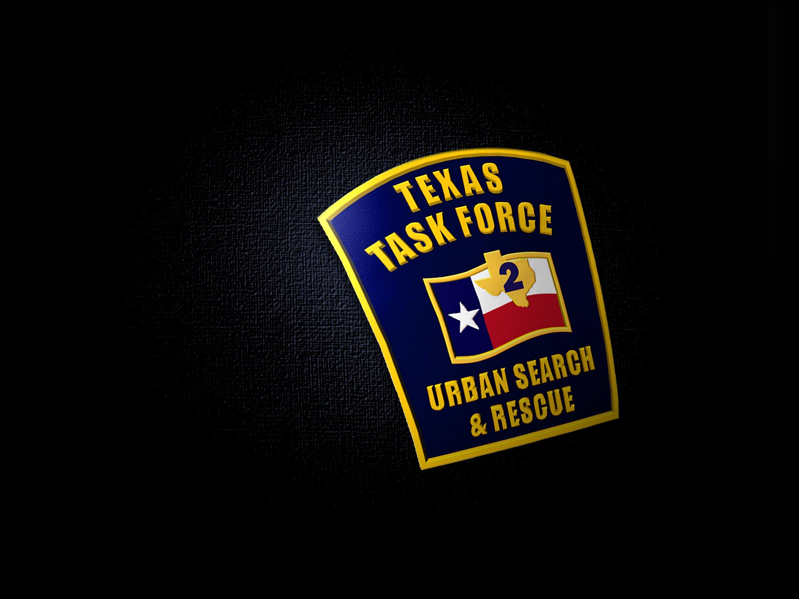 TX-TF2 Logo